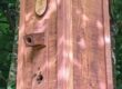 Wooden bee hive in place in a tree. With bees surrounding it and moving in.